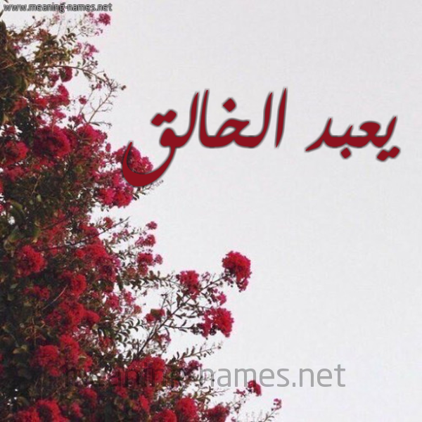 شكل 18 صوره الورد الأحمر للإسم بخط رقعة صورة اسم يعبد الخالق Abd-Elkhalek